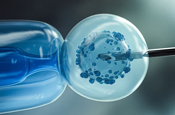 Fertility / IVF
